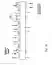 Fig. 17 - DNA MODULAR CLONING VECTOR PLASMIDS AND METHODS FOR THEIR USE