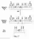 Fig. 18 - DNA MODULAR CLONING VECTOR PLASMIDS AND METHODS FOR THEIR USE