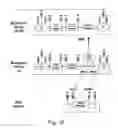 Fig. 19 - DNA MODULAR CLONING VECTOR PLASMIDS AND METHODS FOR THEIR USE