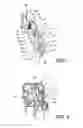 Fig. 02 - Contact termination member for an electrical receptacle