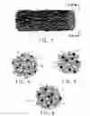 Fig. 03 - Stain-masking cut resistant fabrics and articles and processes for making same
