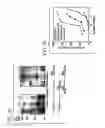 Fig. 05 - Nuclear targeting by means of bacterial proteins