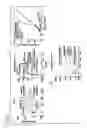 Fig. 07 - Nuclear targeting by means of bacterial proteins