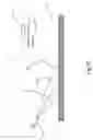 Fig. 07 - Image invariant optical speckle capturing device and method