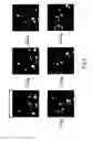 Fig. 13 - Image invariant optical speckle capturing device and method