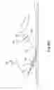 Fig. 14 - Image invariant optical speckle capturing device and method