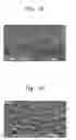 Fig. 07 - PATTERN FORMING INK, METHOD FOR FABRICATING THE SAME, AND LIGHT GUIDE PLATE, LIGHT EMITTING UNIT, AND LIQUID CRYSTAL DISPLAY HAVING THE SAME