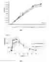 Fig. 02 - Controlled release drug compositions and preparation methods