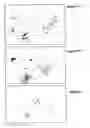 Fig. 47 - METHODS AND COMPOSITIONS FOR PROMOTING NORMAL CELL GROWTH AND INHIBITING CANCER CELL GROWTH
