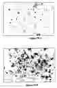 Fig. 48 - METHODS AND COMPOSITIONS FOR PROMOTING NORMAL CELL GROWTH AND INHIBITING CANCER CELL GROWTH