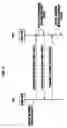 Fig. 08 - Ultra wideband coupling mechanism and method for mobile terminal