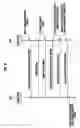 Fig. 09 - Ultra wideband coupling mechanism and method for mobile terminal