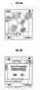 Fig. 08 - TIME-DEPENDENT INFORMATION MANAGEMENT SYSTEM AND METHOD FOR MOBILE PHONE