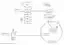Fig. 01 - Method and system for signaling the state of supplementary services