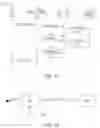 Fig. 13 - Next generation social networking and content rating system and method