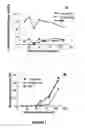 Fig. 02 - Method of promoting healing of a tympanic membrane perforation using plasminogen