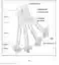 Fig. 02 - Method comprising nanofiltration to obtain an MBL product safe from infectious agents and the product obtainable by this method