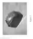 Fig. 03 - Reinforced poly(arylene ether)/polyamide composition and article comprising the foregoing