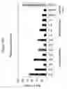 Fig. 23 - siRNA targeting complement component 3 (C3)