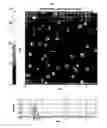 Fig. 02 - Method of synthesizing air-stable zero-valent iron nanoparticles at room temperature and applications