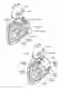 Fig. 04 - Devices, systems, and methods for reshaping a heart valve annulus, including the use of a bridge implant having an adjustable bridge stop