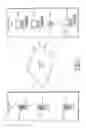 Fig. 02 - Systems and methods for locating terrorists