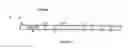 Fig. 210 - Method and software for group floating-point arithmetic operations