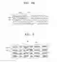 Fig. 08 - OPTICAL DISC HAVING UNIFORM STRUCTURE