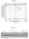 Fig. 09 - Optical pickup and optical information recording and reproducing device