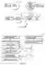 Fig. 16 - Search System and Search Method