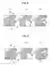 Fig. 05 - Toner change and flow stabilizing developing device, process cartridge, and image forming apparatus