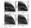 Fig. 03 - Atherosclerosis