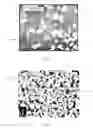 Fig. 02 - Nanostructured substrate for surface enhanced raman scattering