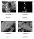 Fig. 06 - Process For The Preparation Of Metallic Wools With A Controlled Degree Of Surface Oxidation And Fibres Deriving From Them: Products Obtained, And Their Use As Supports To Obtain Metaalic Core Composite Materials For A Variety Of Applications
