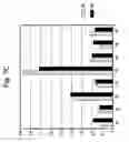 Fig. 09 - Anode with remarkable stability under conditions of extreme fuel starvation
