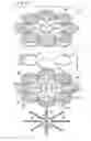 Fig. 18 - Plate-laminating type fuel cell