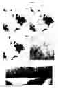 Fig. 04 - Fabrication of mesoporous metal electrodes in non-liquid-crystalline phase and its application
