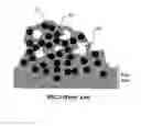 Fig. 03 - Electro-catalyst compositions for fuel cells