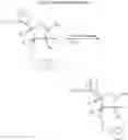 Fig. 06 - Polymeric beads for oligomer synthesis