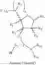 Fig. 08 - Polymeric beads for oligomer synthesis