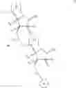 Fig. 22 - Polymeric beads for oligomer synthesis