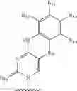 Fig. 49 - Polymeric beads for oligomer synthesis
