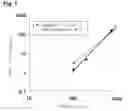 Fig. 02 - Solid titanium catalyst component, catalyst for polymerization of olefin and process for producing olefin polymer