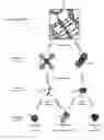Fig. 01 - Protein structure