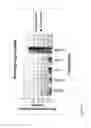 Fig. 43 - siRNA targeting kinases