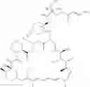 Fig. 06 - Processes for the synthesis of individual isomers of mono-peg CCI-779