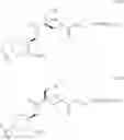 Fig. 22 - Processes for the synthesis of individual isomers of mono-peg CCI-779
