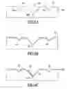 Fig. 08 - Methods of fabricating microneedles with bio-sensory functionality