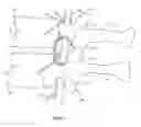 Fig. 02 - Systems and Methods for Direct Restoration of Foraminal Volume