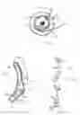 Fig. 02 - MOVABLE OPHTHALMIC LENS ASSEMBLY